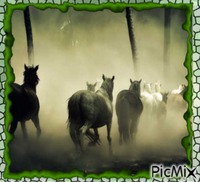 Cavalos na natureza animirani GIF