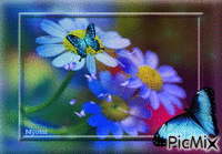 Fleurs  et papillons - GIF animé gratuit