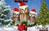 Christmas owl - Ilmainen animoitu GIF