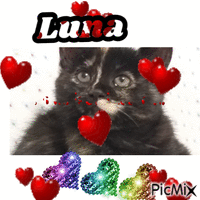 Gattina Luna animerad GIF