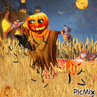 Scarecrow - GIF animado grátis