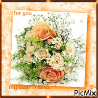 bouquet roses for you my friend