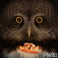 OWL animoitu GIF