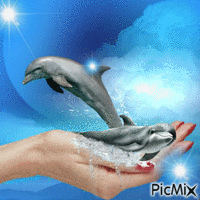 Nos amis les dauphins - GIF animé gratuit
