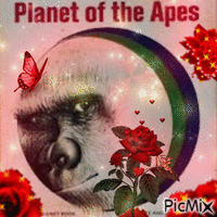 apes1 - 免费动画 GIF