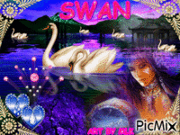SWAN - Darmowy animowany GIF