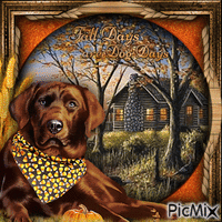 Fall Day Dogs-RM-09-03-23 - GIF animé gratuit