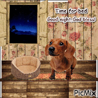 Good night puppy - Free animated GIF