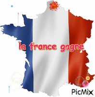 france - Zdarma animovaný GIF