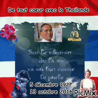 Roi Bhumibol Adulyadej Animated GIF