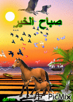 صباحكم سعيد - Darmowy animowany GIF