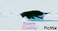 Happy Monday - Animovaný GIF zadarmo