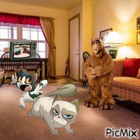 Grumpy cat,Pokey and ALF - GIF animado grátis