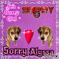 sorry alussy Animated GIF