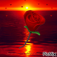 rose-coeur jtm - Darmowy animowany GIF