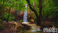 Утро в лесу - Animovaný GIF zadarmo