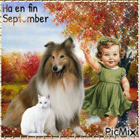 Have a nice September. Little girl, dog, cat GIF แบบเคลื่อนไหว