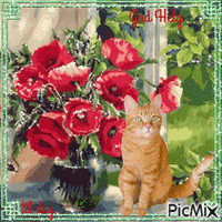 Happy Weekend to you. Flowers Window. Cat. animovaný GIF