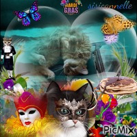 ma cannelle mardi gras - 免费动画 GIF