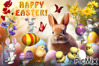 Happy Easter! 🐰🐇🐔🐓🐣🐤🐥🌺🌼🥚 geanimeerde GIF