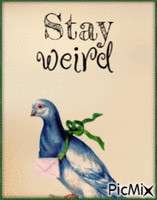 Stay weird アニメーションGIF