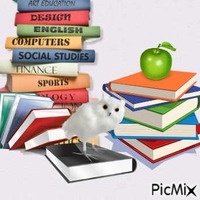 books - Zdarma animovaný GIF