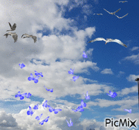 le ciel - Ilmainen animoitu GIF