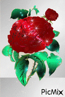 Алая роза - Gratis animeret GIF