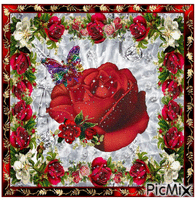 Red rose on silver fond. GIF animata