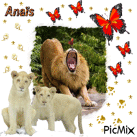 lions анимиран GIF