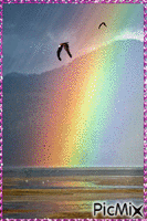 Rainbow GIF animé