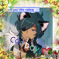 catboy - GIF animasi gratis
