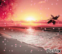 tramonto - Darmowy animowany GIF