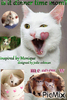 Moniques cats animált GIF
