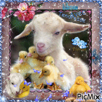 la petite chèvre et les caneton animovaný GIF