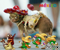 Mexico - Ilmainen animoitu GIF