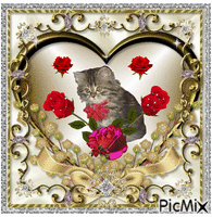 Cat behind roses animovaný GIF