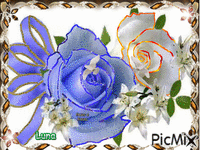 rosass Animated GIF