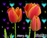 Tulipanes - Безплатен анимиран GIF