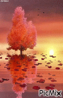 Sunrise Morning animovaný GIF