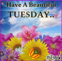 Beautiful Tuesday - Бесплатный анимированный гифка