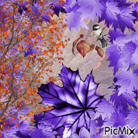 Automne en violet et orange анимиран GIF