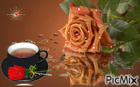 Тебе кофе!!!! - GIF animado gratis