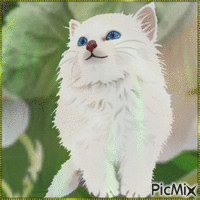 Amazing Cat анимированный гифка
