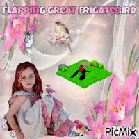 Flapping Great frigatebird GIF animé