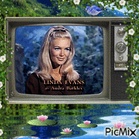 Linda Evans - The Big Valley GIF animé