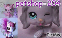 petshop-204 - Gratis animerad GIF