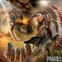 loup indien - Free animated GIF