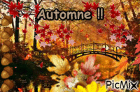 Automne !! - Free animated GIF