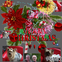 Merry Chrismas - GIF animé gratuit